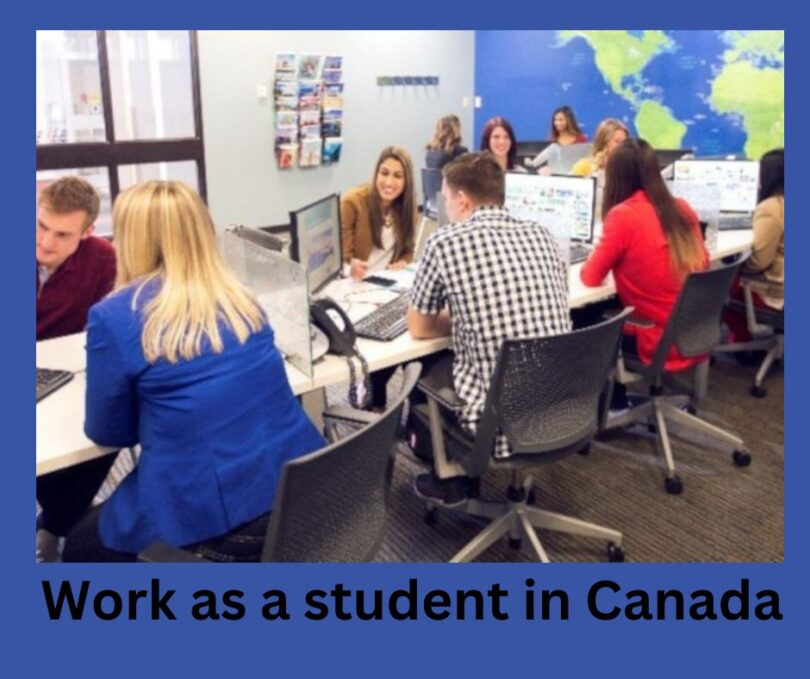 Top 7 Profitable Jobs as a Student in Canada